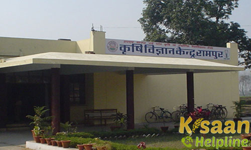 Krishi Vigyan Kendra, Dhamora, Rampur