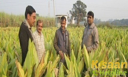 Krishi Vigyan Kendra Bulandshahr