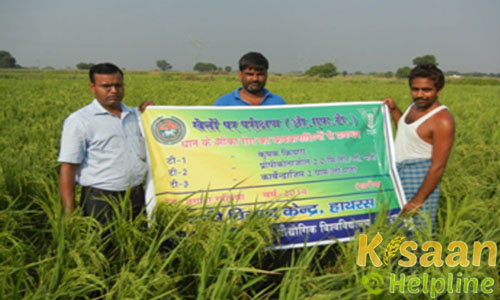 Krishi Vigyan Kendra, Mahamayanagar, Hathras