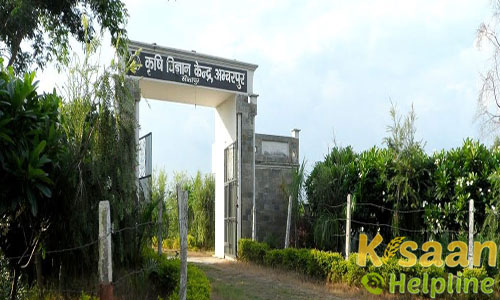 Krishi Vigyan Kendra, Amberpur, Sitapur