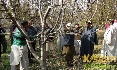 Krishi Vigyan Kendra, Kreeri, Anantnag