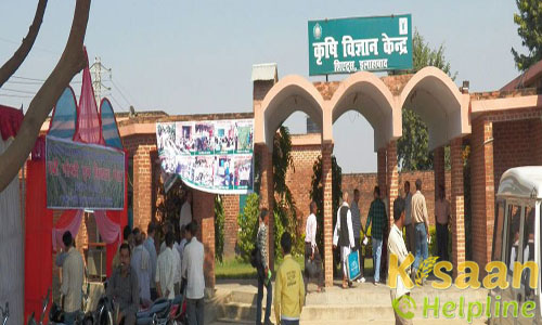 Krishi Vigyan Kendra Allahabad