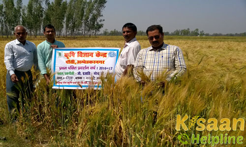 Krishi Vigyan Kendra, Ambedkar Nagar