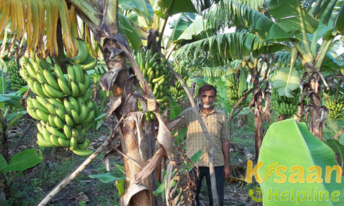 Krishi Vigyan Kendra, Sant Kabir Nagar