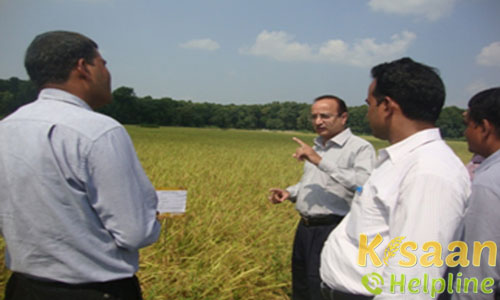 Krishi Vigyan Kendra, Basuli, Maharajganj