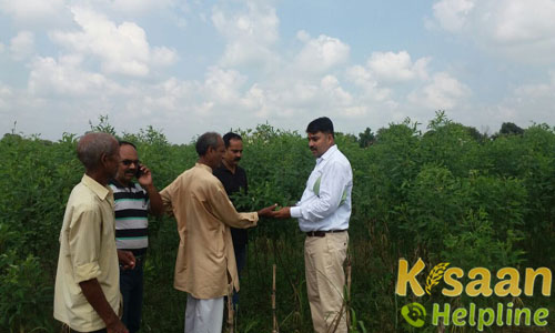 Krishi Vigyan Kendra, Pilkhi, Mau