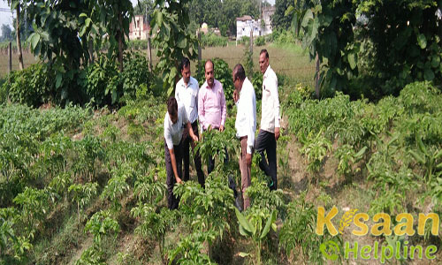 Krishi Vigyan Kendra, Jaunpur