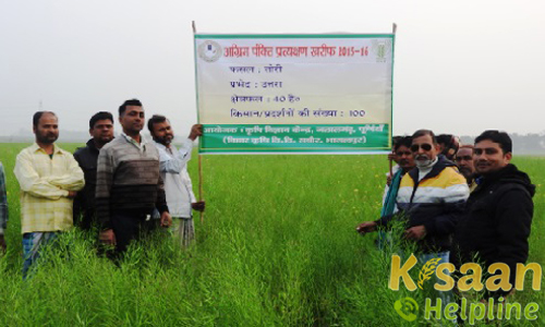 Krishi Vigyan Kendra, Jalalgarh, Purnea