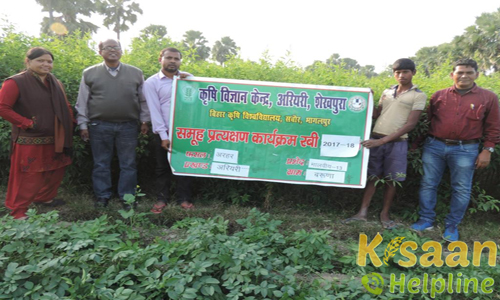 Krishi Vigyan Kendra, Ariari, Sheikhpura