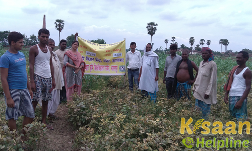 Krishi Vigyan Kendra, Gandhar, Jehanabad