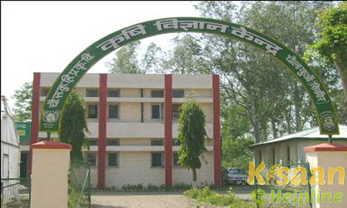 Krishi Vigyan Kendra, Dhaulakuan, Sirmaur