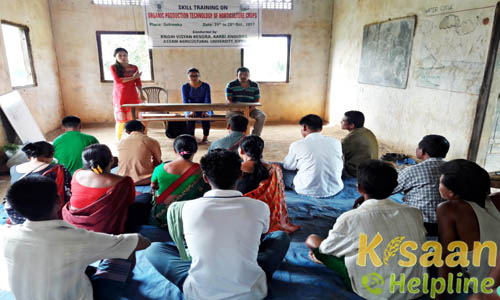 Krishi Vigyan Kendra, Diphu, Karbi Anglong