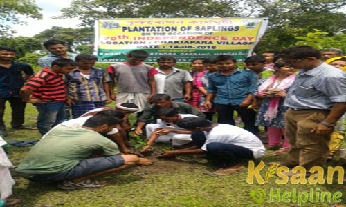 Krishi Vigyan Kendra, Mangaldai, Darrang