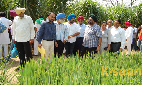 Krishi Vigyan Kendra Gurdaspur