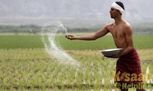 Krishi Vigyan Kendra, Narsinghpur