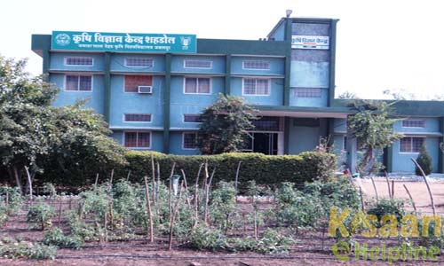 Krishi Vigyan Kendra, Kalyanpur, Shahdol