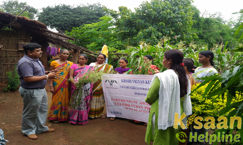 Kirshi Vigyan Kendra, Dediapada, Narmada