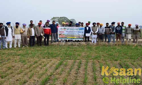 Krishi Vigyan Kendra, Kheri, Sangrur