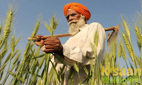 Krishi Vigyan Kendra Fazilka