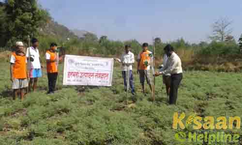 Krishi Vigyan Kendra, Kosbad Hill, Thane