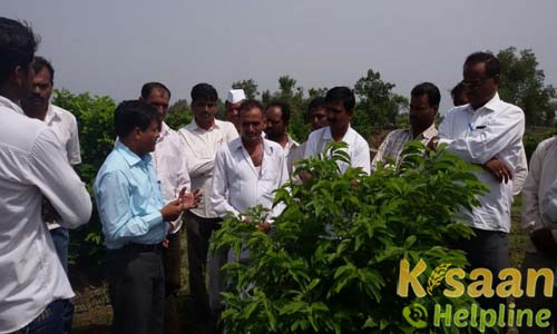 Krishi Vigyan Kendra, Dahigaon, Ahmednagar