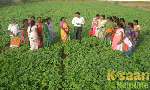 Krishi Vigyan Kendra, Khamgaon