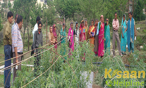 Krishi Vigyan Kendra, Gwaldam, Chamoli