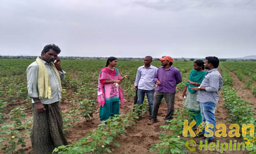 Krishi Vigyan Kendra, Darsi, Prakasam