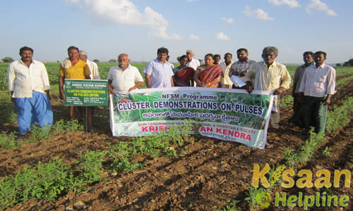 Krishi Vigyan Kendra, Yagantipalli, Kurnool
