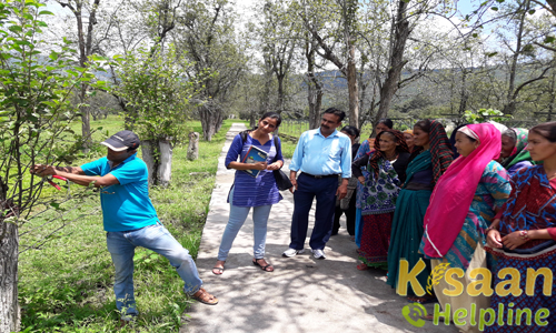 Krishi Vigyan Kendra Almora