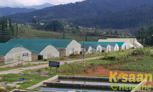 Krishi Vigyan Kendra, Lohaghat, Champawat