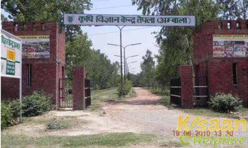 Krishi Vigyan Kendra, Tepla, Ambala