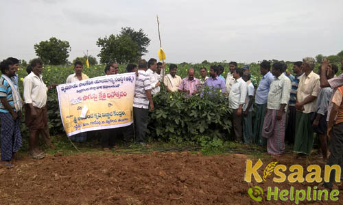 Krishi Vigyan Kendra, Nalgonda, Telangana