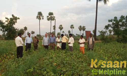 Krishi Vigyan Kendra, Gaddipally, Suryapet