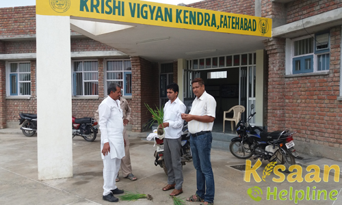 Krishi Vigyan Kendra Fatehabad