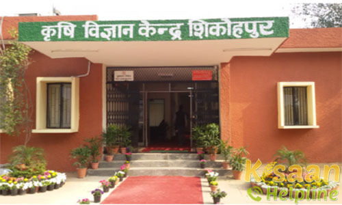 Krishi Vigyan Kendra, Shikohpur, Gurgaon