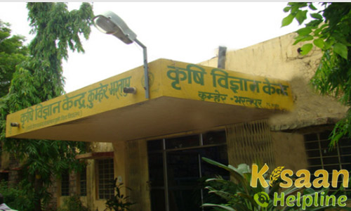 Krishi Vigyan Kendra, Kumher, Bharatpur