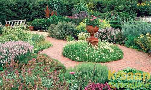 Production of Marigold and Chrysanthemum In Madhya Pradesh