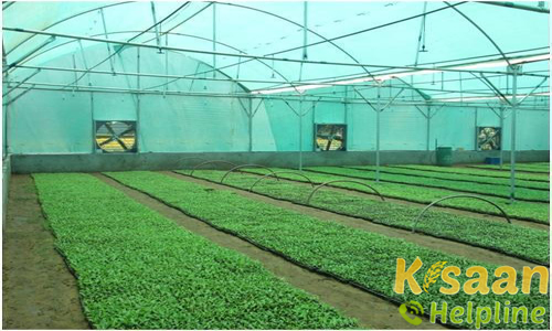 Production of Planting Material | Agriculture Science Center In M.P.