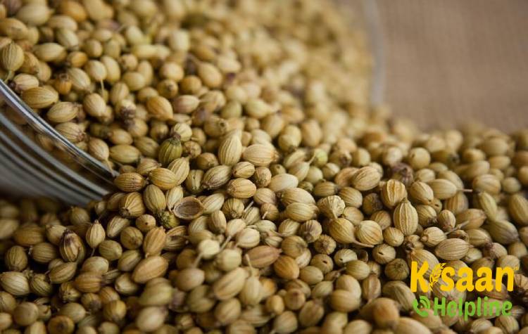 Rajendra Swati (राजेंद्र स्वाति)