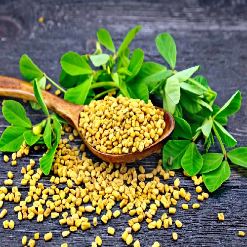 Fenugreek 