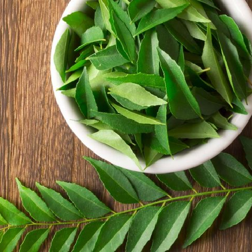 Kadi Patta - Curry Leaves