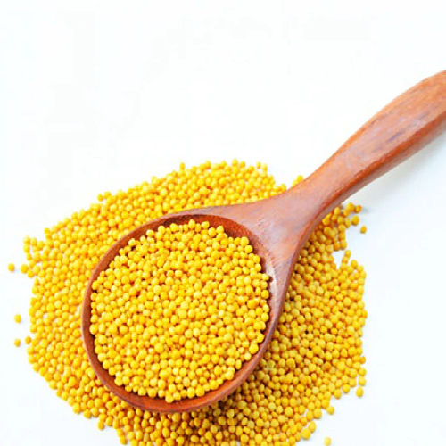 Yellow Mustard seed