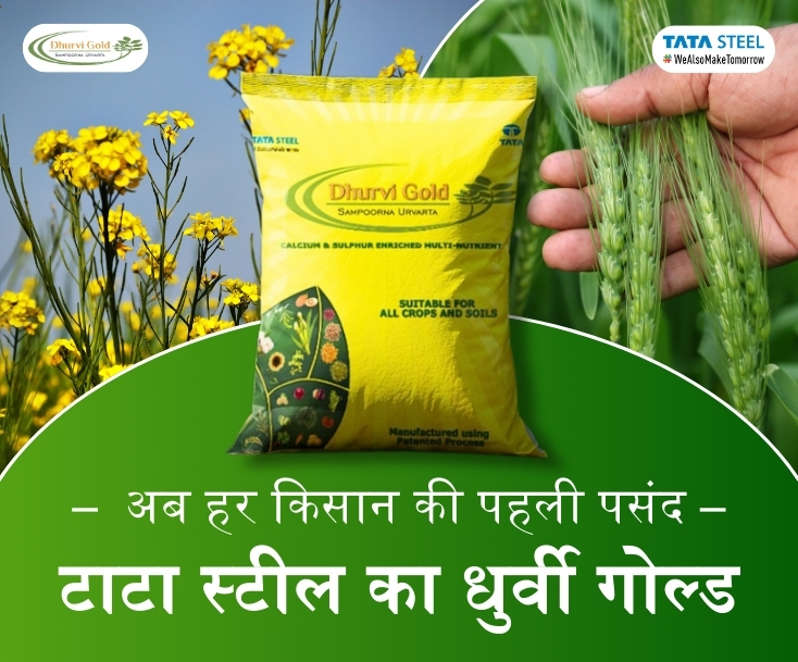 News top banner 3(1*4)