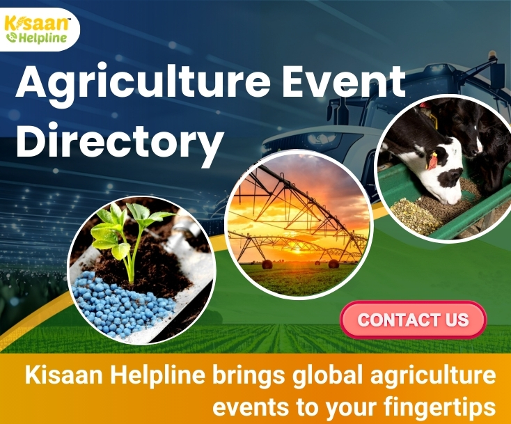 News bottom banner 3(1*4)