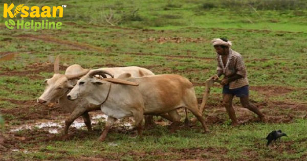 कृषि क्षेत्र कोरोना वायरस से प्रभावित नहीं होगा: कृषि मंत्री