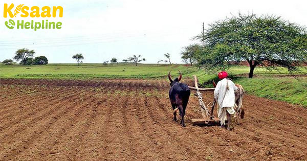 फाइनेंस मिनिस्टर ने कृषि ऋण NPA के मानदंडों को शामिल करने के लिए RBI को लिखा पत्र