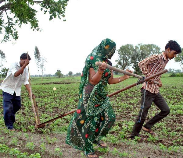 12वीं में पढ़ने वाला बेटा बैल बनकर खींच रहा हल, मां घूंघट में भी देती है साथ