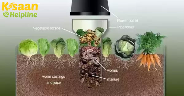 रसोई कचरे से खाद बनाने का तरीका जानें