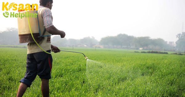 फसलों पर महत्वपूर्ण मानव एंटीबायोटिक दवाओं का खतरनाक उपयोग
